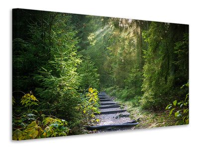 canvas-print-a-path-between-firs