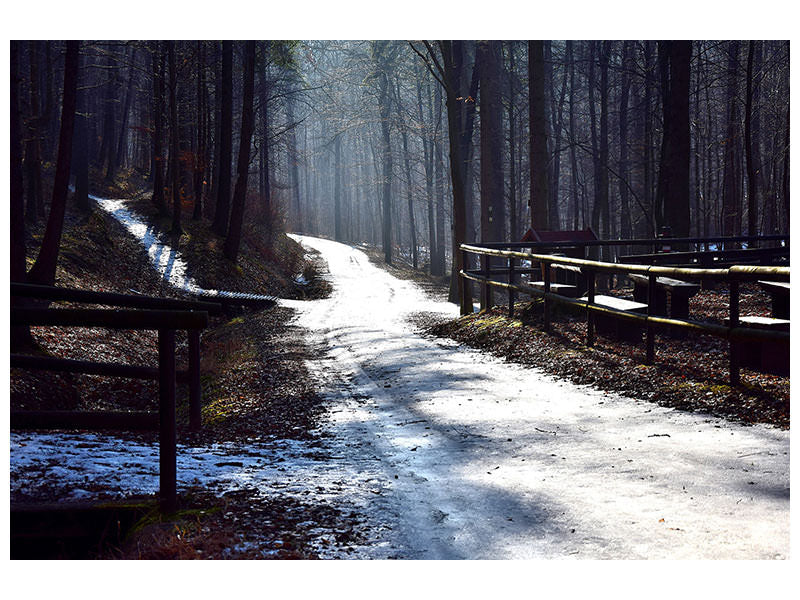 canvas-print-a-path-in-the-snow