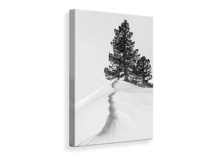 canvas-print-about-the-snow-and-forms