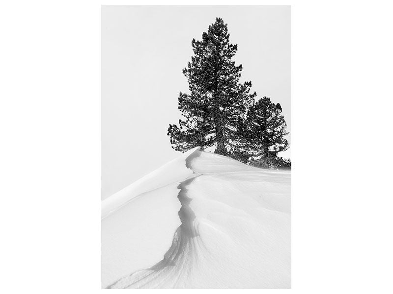 canvas-print-about-the-snow-and-forms