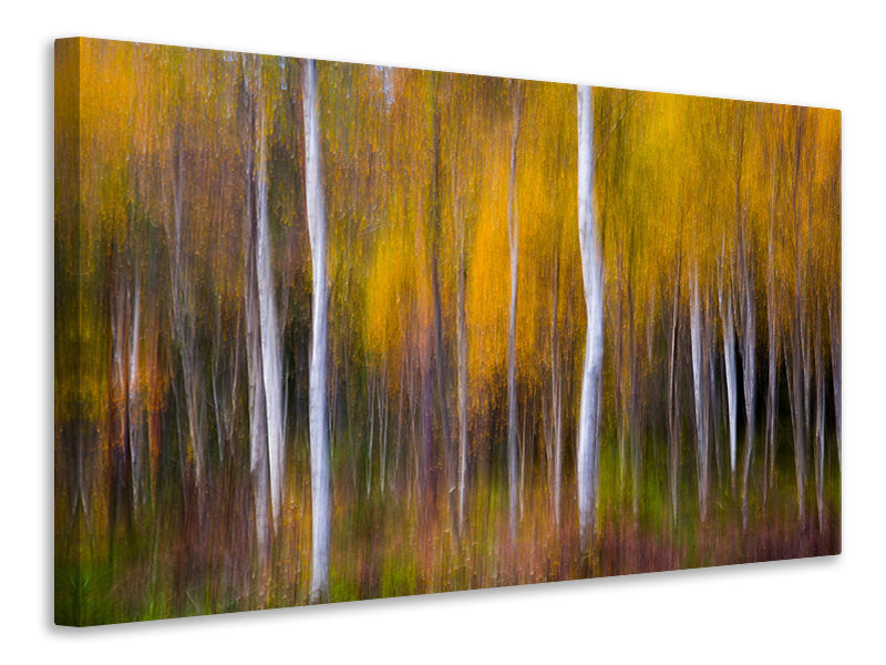 canvas-print-abstract-fall