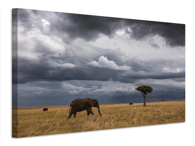 canvas-print-african-sky-x