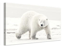 canvas-print-alaskan-king-x