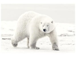 canvas-print-alaskan-king-x