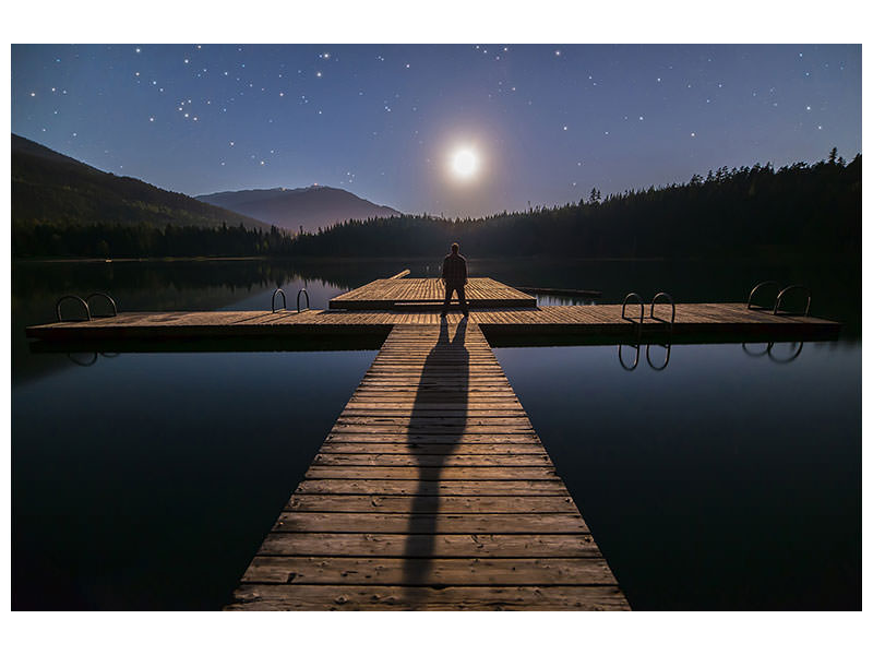 canvas-print-alone-at-full-moon