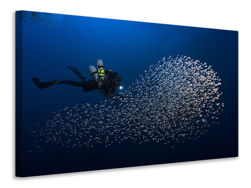 canvas-print-alvin-shoal