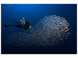 canvas-print-alvin-shoal