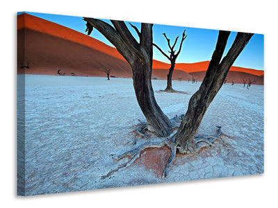 canvas-print-ancient-trees-in-the-vlei