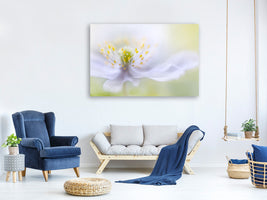 canvas-print-anemone-beauty