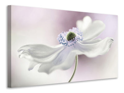 canvas-print-anemone-breeze