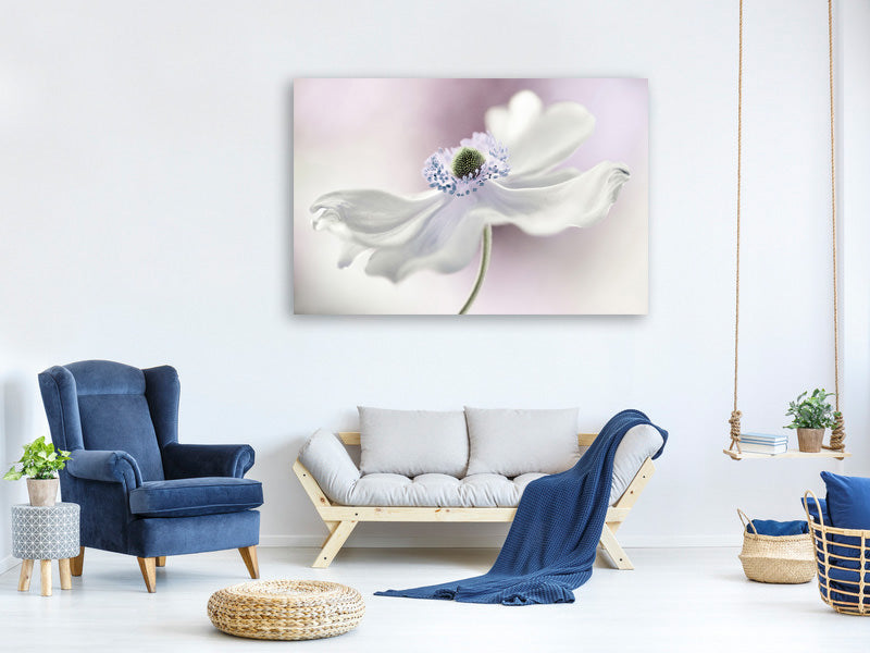 canvas-print-anemone-breeze