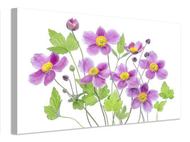 canvas-print-anemone-hadspen-abundance-x