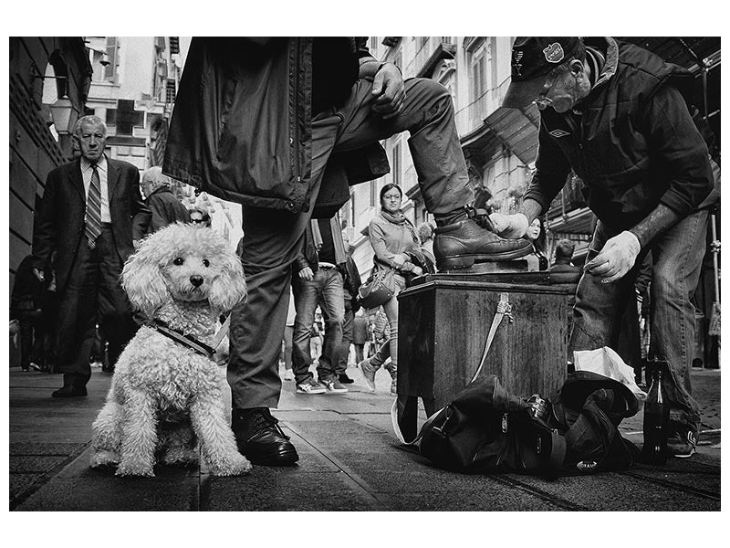 canvas-print-antonio-ultimo-lucidascarpe-di-napoli-x