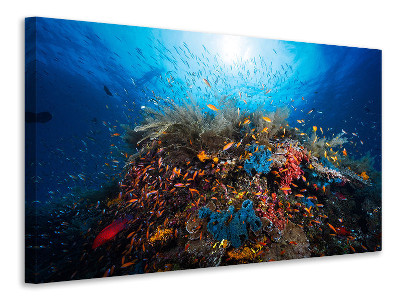 canvas-print-apnea