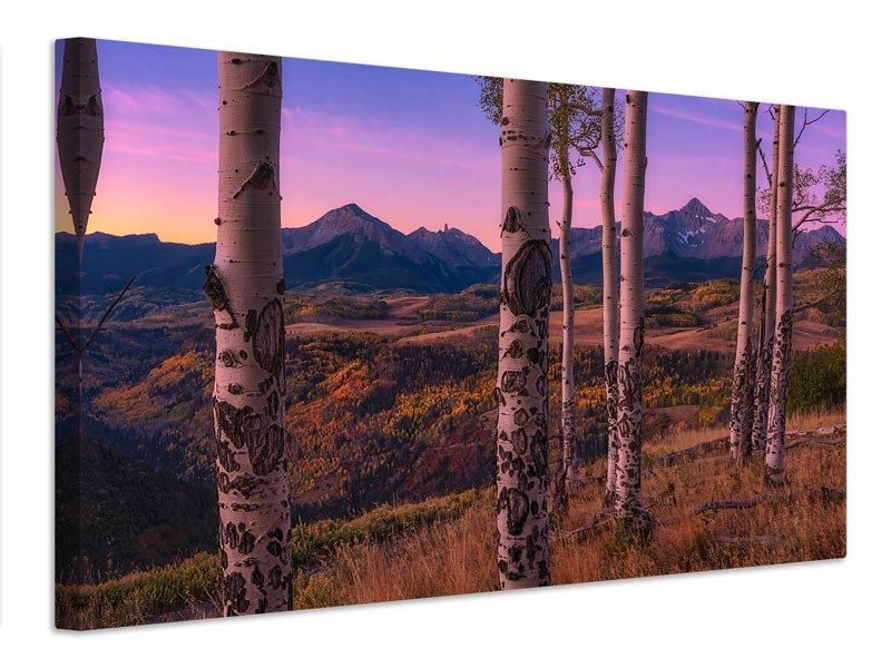 canvas-print-aspen-frames-x