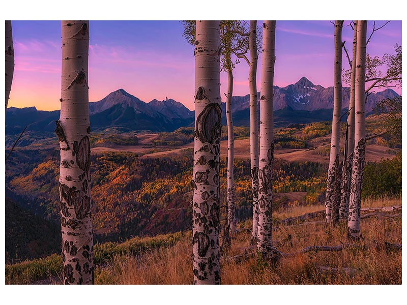 canvas-print-aspen-frames-x