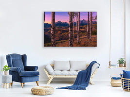 canvas-print-aspen-frames-x