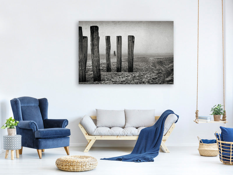 canvas-print-astray