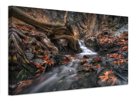 canvas-print-autumn-cascade-x