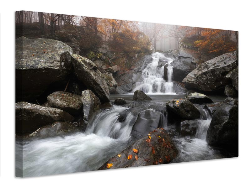 canvas-print-autumn-fog-xvy