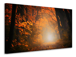 canvas-print-autumn-light-in-the-forest