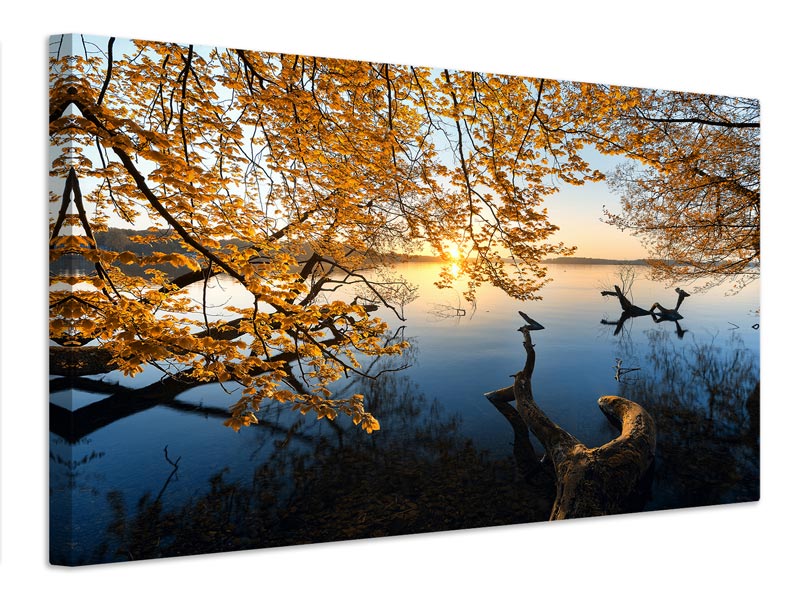 canvas-print-autumn-morning-xoq