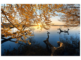 canvas-print-autumn-morning-xoq