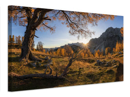 canvas-print-autumn-paradise-x