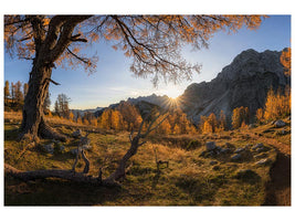 canvas-print-autumn-paradise-x