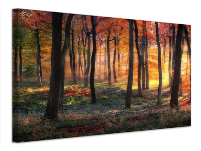 canvas-print-autumn-woodland-sunrise-x