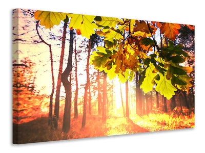 canvas-print-autumn