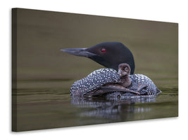 canvas-print-back-seat