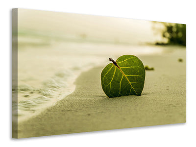 canvas-print-beach-leaf