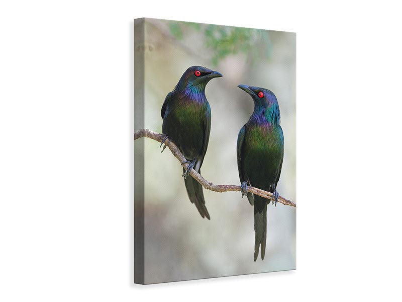 canvas-print-beautiful-couple-x