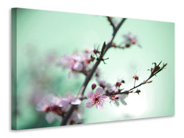 canvas-print-beautiful-japanese-cherry-blossom