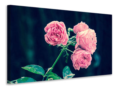canvas-print-beautiful-pink-roses