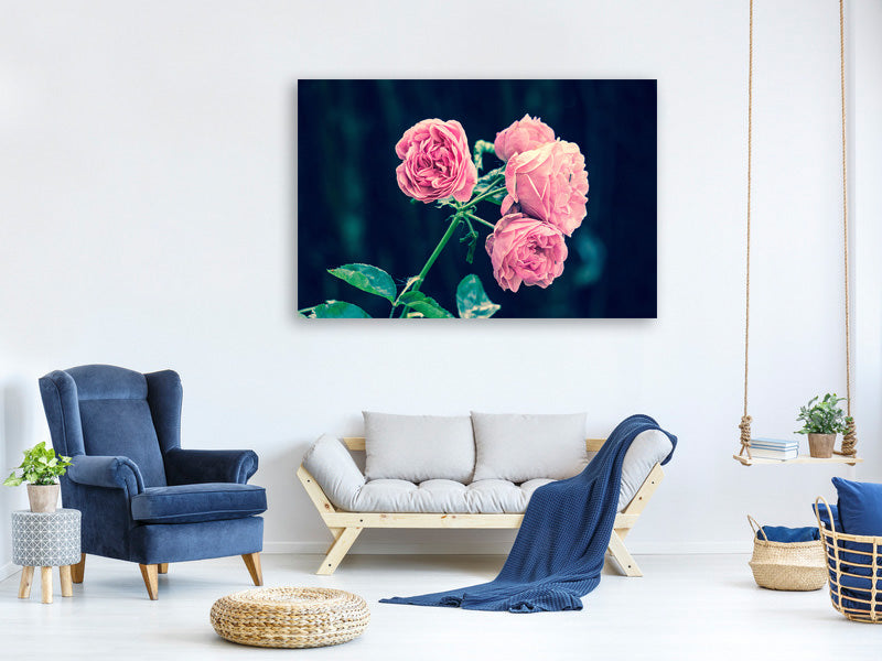 canvas-print-beautiful-pink-roses