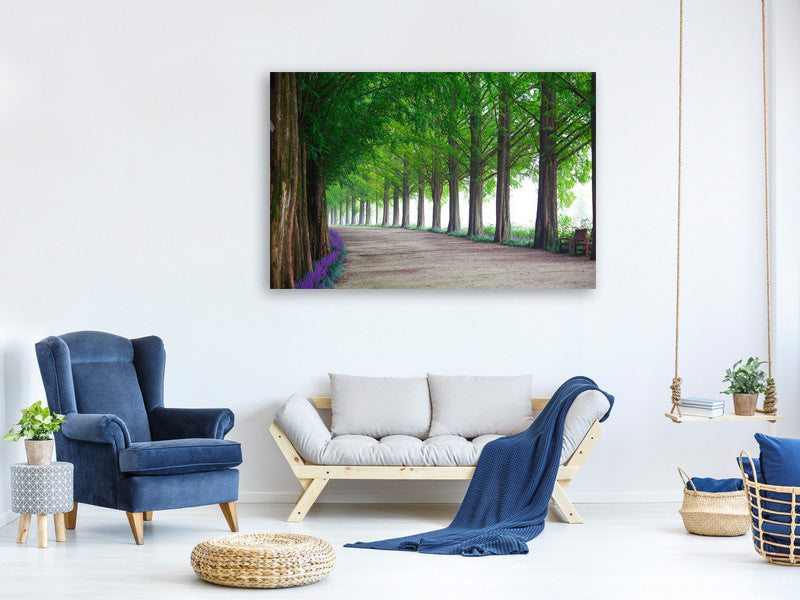 canvas-print-beautiful-tree-avenue