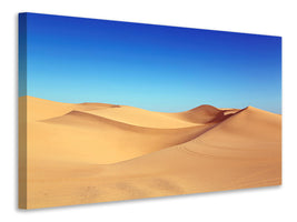 canvas-print-beauty-desert