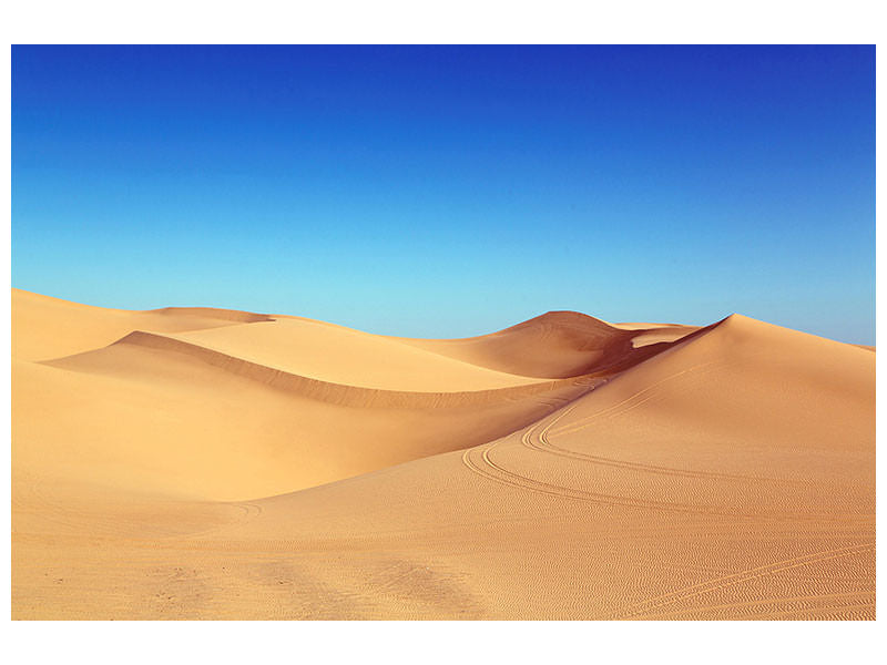 canvas-print-beauty-desert