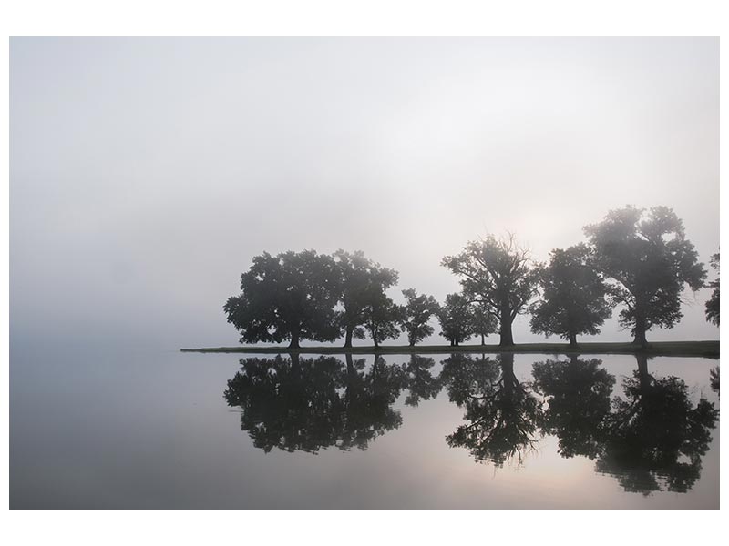 canvas-print-before-my-coffee-x