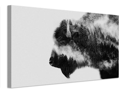 canvas-print-bison-x