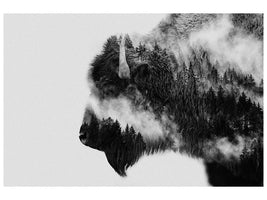 canvas-print-bison-x