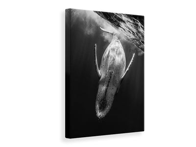 canvas-print-black-whale