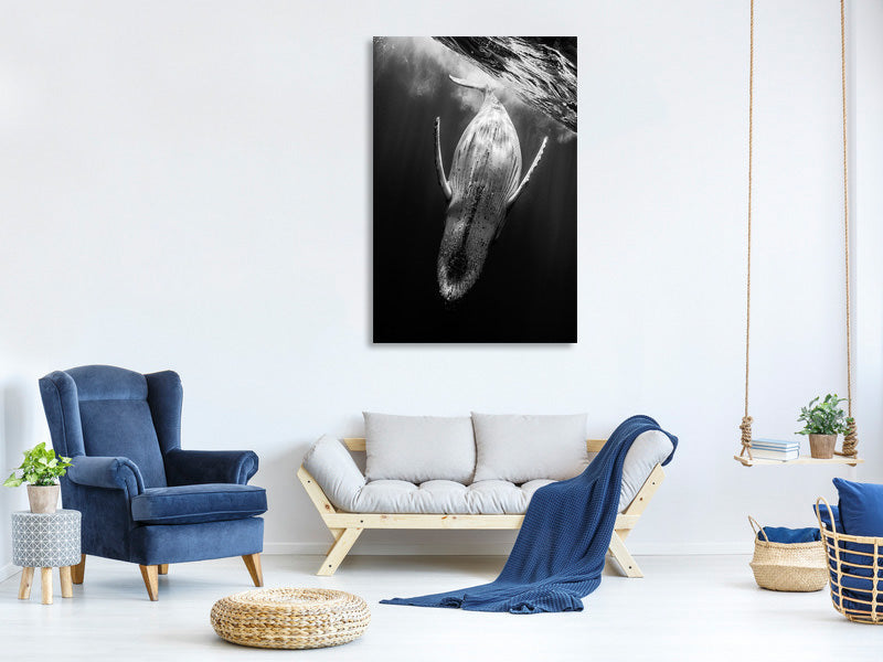 canvas-print-black-whale