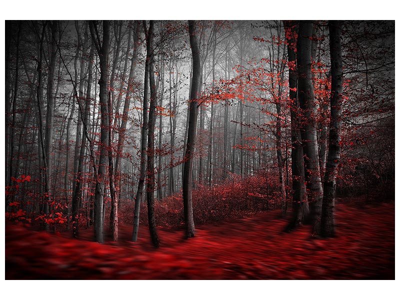 canvas-print-bloody-river-x