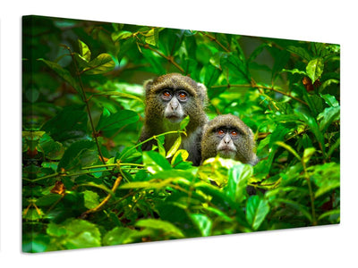 canvas-print-blue-monkey-x