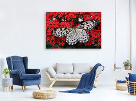 canvas-print-butterfly-in-xxl