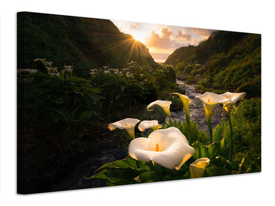 canvas-print-calla-lily-world-x