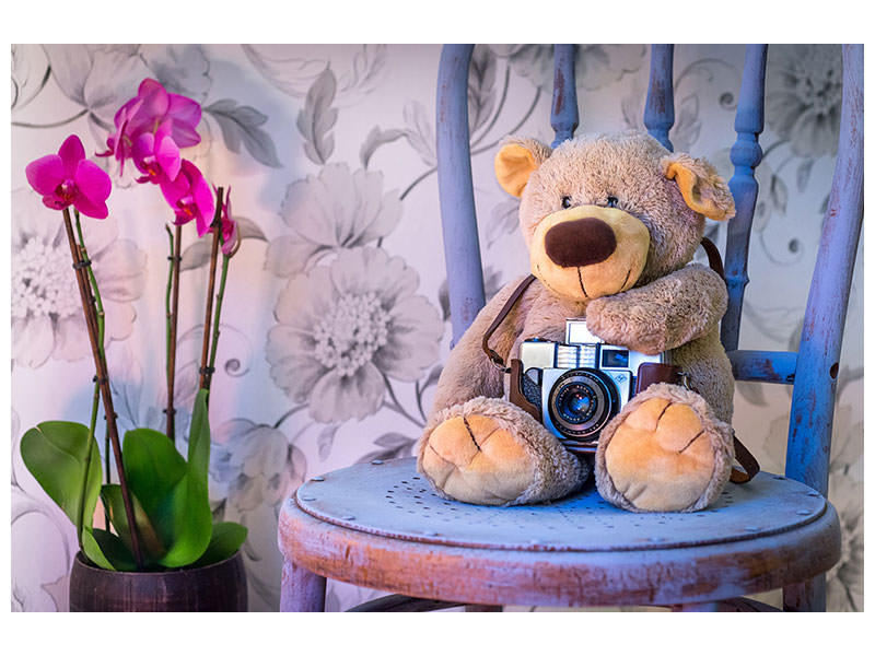 canvas-print-camera-teddy-bear